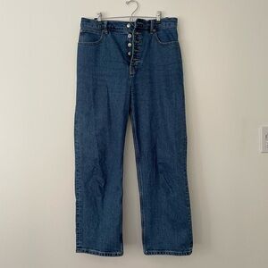 Everlane Way High Button Fly Jeans 30R